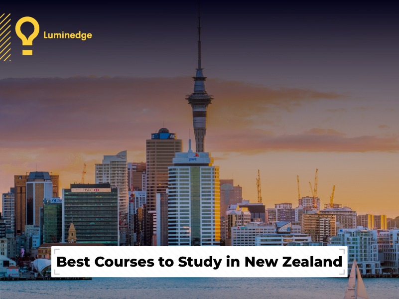 Best Courses to Study in New Zealand (2025 Guide)